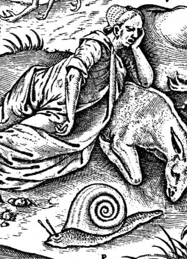 Ingenium and Imagination in the Renaissance: Diseases, Demons and Dreams